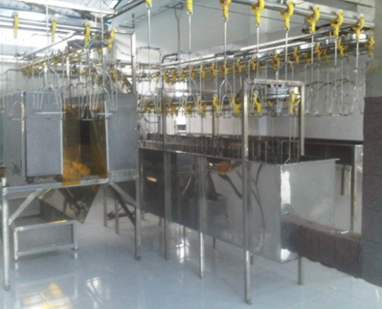 MESIN BERKAPASITAS 3000EKOR AYAM PERJAM.bmp