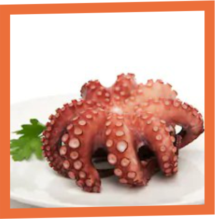OCTOPUS